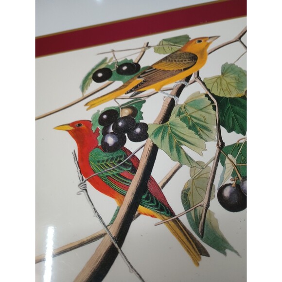 pimpernel placemats set 4 Audubon Birds Red Cardinal Indigo Grosbeak Cork Havell - Picture 10 of 10